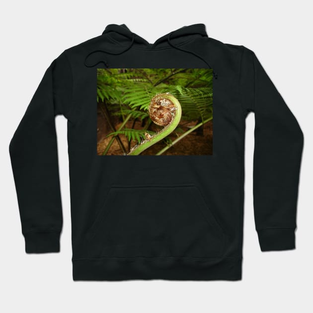 Fern Spiral Hoodie by Julie Vaux